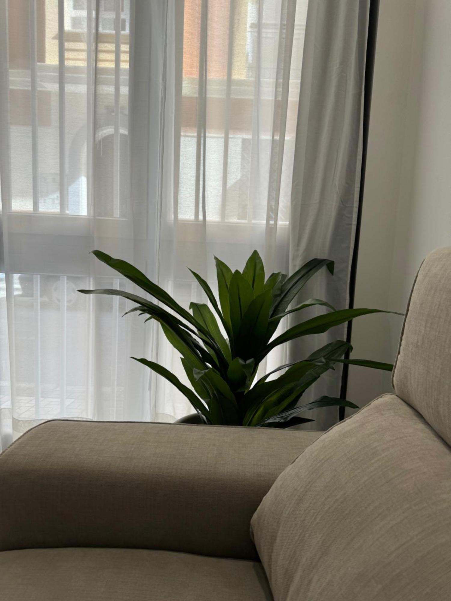 Alderete Suites مالقة المظهر الخارجي الصورة